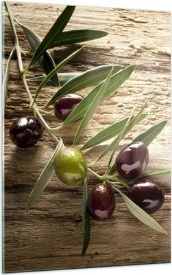 Produktbild von Bilder auf glas - Einteilig - Oliv italien aroma diät - 50x70cm - Glasbilder - Wandbilder - Bilder - zum Aufhängen bereit - Wanddekoration aus Glas - Glas Bilder - Wandbild auf Glas - GPA50x70-2420