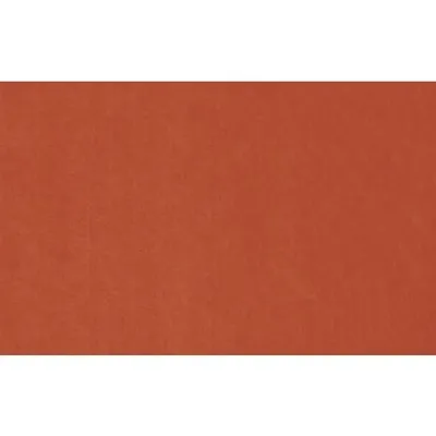 Produktbild von KNORR PRANDELL Polyesterfilz 30 x 45 x 03 cm 100 % Polyester orange
