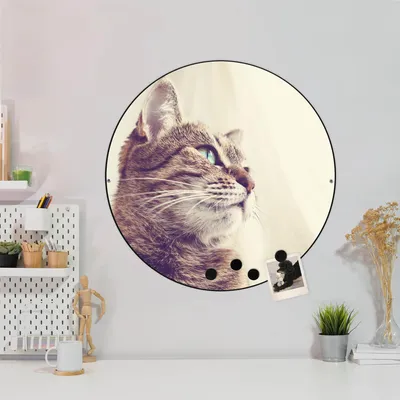 Zdjęcie produktu dla Designerska tablica magnetyczna stalowa czarna okrągła 47cm Holgerson