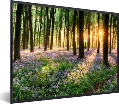 Produktbild von MuchoWow® Gerahmtes Poster Wald - Blumen - Lavendel - Sonne - Lila - Natur 40x30 cm - Poster mit Schwarzem Bilderrahmen Wandposter Rahmen Foto Bilder - Kunstposter - Wanddekorationen