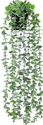 Produktbild von Künstliche Hängepflanze zur Wanddekoration für Haus und Garten