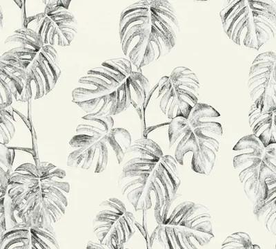 Produktbild von A.S. Création Dschungeltapete Greenery Palmentapete Vliestapete schwarz weiß grau 10,05 m x 0,53 m