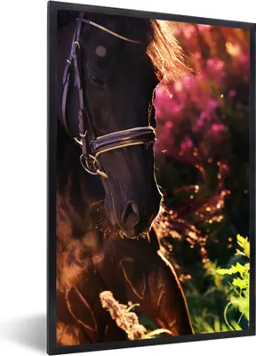 Produktbild von MuchoWow® MuchoWow® Gerahmtes Poster Pferd - Sonne - Porträt 20x30 cm - Poster mit zchwarzem Bilderrahmen - Drucken - Bilder Poster im Rahmen