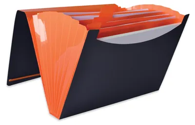 Obrázok produktu pre Elba 400065631, A4, Polypropylén (PP), Čierna, Modrá, Oranžová, Ružová, Portrét, 8 listy, 8 vrecká/vreciek