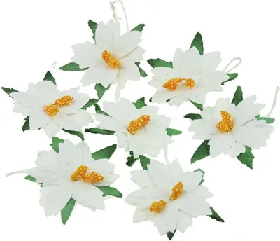Produktbild von WEIHNACHTSSTERNE Mullberry Papier Papierblumen - weiß 35 mm/25 STK.