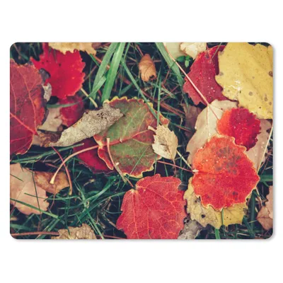 Produktbild von MuchoWow® Mauspad Mousepad Blätter - November - Herbst - Natur 23x19 cm - Mousepads - Maus Mat - Pad - Mausunterlage - Schreibtischunterlage - Mauspad