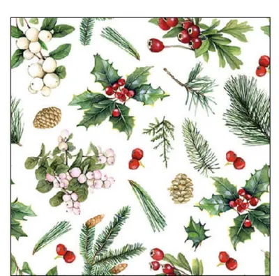 Produktbild von 20 kleine Cocktailservietten Winter Greenery white - Zweige, Zapfen und Beeren im Winter 25x25cm Weihnachten Weihnachtsservietten Winter Winterservietten