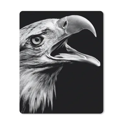 Produktbild von MuchoWow® Mauspad Mousepad Adler - Porträt - Raubvögel - Schwarz - Weiß - Vogel 30x40 cm - Mousepads - Maus Mat - Pad - Mausunterlage - Mausmatten