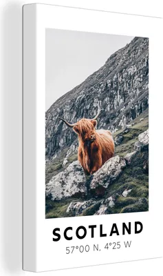 Produktbild von OneMillionCanvasses® - Leinwandbilder - 90x140 cm, Schottland - Schottische Hochlandrind - Berge, Wandbilder Wohnzimmer Hochland Rind - Tier Wanddekoration - Hochland Rind - Kuh - Gemälde auf Holzrahmen - Wandschmucke - Schlafzimmer