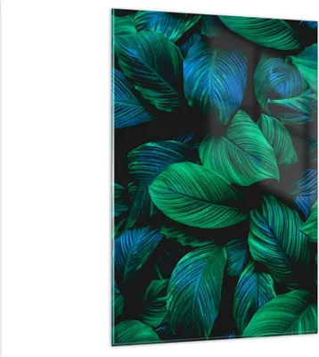 Produktbild von Bilder auf glas - Einteilig - Blätter Pflanzen Exotik - 80x120cm - Glasbilder - Wandbilder - Bilder - zum Aufhängen bereit - Wanddekoration aus Glas - Glas Bilder - Wandbild auf Glas - GPA80x120-5066