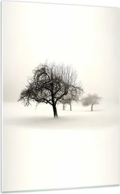 Produktbild von Bilder auf glas - Einteilig - Bäume Schnee Nebel - 70x100cm - Glasbilder - Wandbilder - Bilder - zum Aufhängen bereit - Wanddekoration aus Glas - Glas Bilder - Wandbild auf Glas - GPA70x100-4136