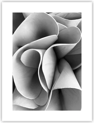 Produktbild von Poster - Poster ohne Rahmen - Material Ornament Stück - 30x40 cm - Wand Bild - Wanddeko - Wandbilder - Kunstposter - Wandposter - Bilder - Kunstdruck - Wanddekoration - Wandbild - P2XPA30x40-4993