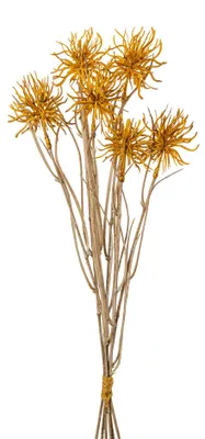 Produktbild von Künstlicher Urchinzweig mit 6 Disteln 43cm.Trockenblumenoptik. Honig