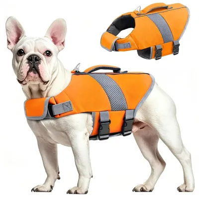 Productafbeelding van Reddingsvest hond - Hoog drijfvermogen - Veiligheidsvest - Oranje, XS