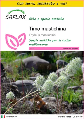 Immagine prodotto di SAFLAX Insieme di coltivazione - Timo mastichina - 250 semi - Thymus