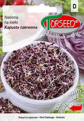 Produktbild von Rotkohl, Samen für Sprossen 50g - Torseed