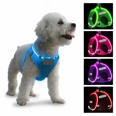 Produktbild von InAndOutdoorMatch - Aufladbares LED-Hundegeschirr - Wasserdicht - Blauw, KI-generiertes Bild