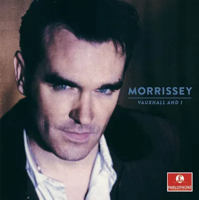Immagine prodotto di Morrissey - Vauxhall And I (20th Anniversary Edition) (LP)