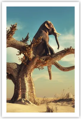 Produktbild von Poster - Poster ohne Rahmen - Sitzen Elefant Baum - 61x91,5 cm - Wand Bild - Wanddeko - Wandbilder - Kunstposter - Wandposter - Bilder - Kunstdruck - Wanddekoration - Wandbild - P2XPA61x91-4345