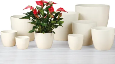 Produktbild von SCHEURICH Übertopf Creme 920/13 cm