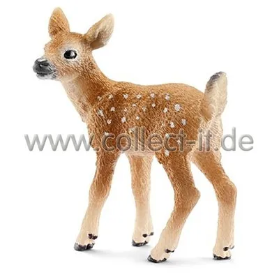 Produktbild von schleich WILD LIFE Weißwedelkalb, Beige