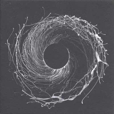 Produktbild von Dawn Of Midi-Dysnomia