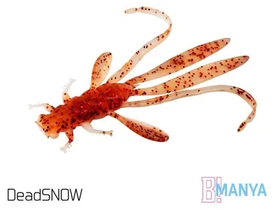 Immagine prodotto di DELPHIN MANYA UVs, Nymphe, 10,5 cm, DeadSNOW, confezione da 5, codice prodotto: 101003854