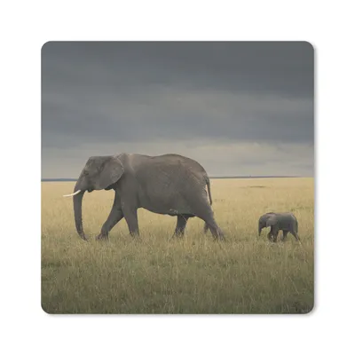 Produktbild von MuchoWow® Mauspad Mousepad Elefant - Savanne - Tiere - Natur 20x20 cm - Mousepads - Maus Mat - Pad - Mausunterlage - Desk Mat - Bureauartikeln