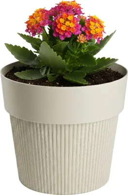 Immagine prodotto di HowHomely | Fioriera - Vaso da fiori - beige - 11x13 cm - Struttura scanalata - Realizzata in materiale riciclato - Pratica