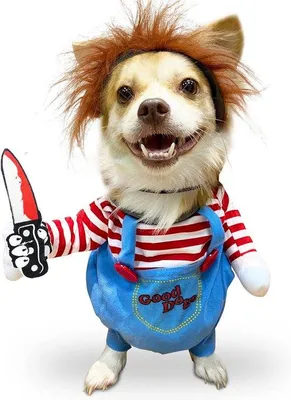 Zdjęcie produktu dla Kostium na Halloween dla psów – straszny strój – rozmiar S – na Halloween/imprezy