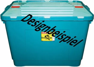 Produktbild von Ordnungsbox Dragon 80L 45x60x40cm, farbig sort.