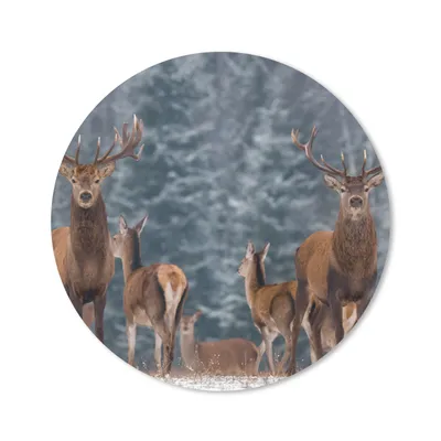 Produktbild von MuchoWow® Mauspad Mousepad Hirsche - Winter - Schnee - Waldtiere - Wald - Natur 50x50 cm - Mousepads - Maus Mat - Pad - Mausunterlage - Vinyl