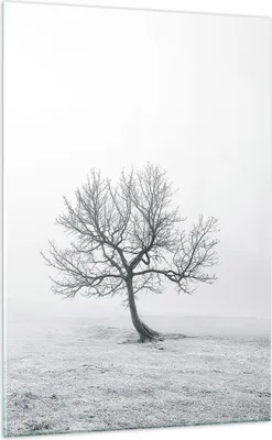 Produktbild von Bilder auf glas - Einteilig - Baum Feld Natur - 70x100cm - Glasbilder - Wandbilder - Bilder - zum Aufhängen bereit - Wanddekoration aus Glas - Glas Bilder - Wandbild auf Glas - GPA70x100-3683