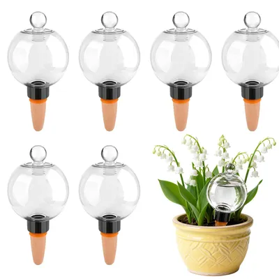 Bewässerungsbälle 500 ml, 6er-Set, automatische Pflanzenbewässerung