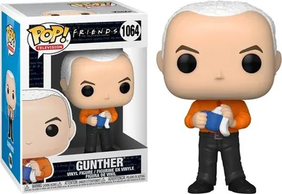 Image de Figurine Funko POP Friends 1064 Gunther