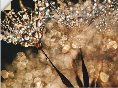 Produktbild von ARTland Wandbild, selbstklebend Pusteblume Goldschimmer Größe: 60x45 cm