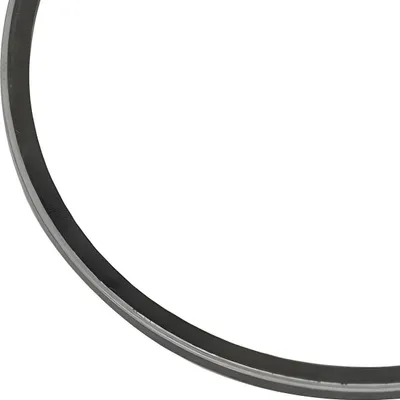 Image de Segment de piston Ø41,00 x 1,2 mm pour piston de réglage à 1 segment - S61