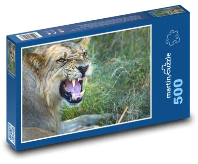 Zdjęcie produktu dla Puzzle 500 Lew w dzikiej przyrodzie - martinpuzzle