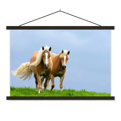 Produktbild von MuchoWow® Textilposter Pferde - Gras - Luft 60x40 cm mit schwarzem Rahmen - Hölzernes