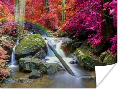 Produktbild von MuchoWow® Poster Regenbogen - Wasserfall - Bäume - Steine - Moos 120x90 cm - Wandbild