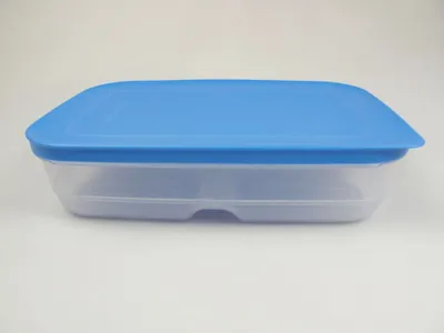 Immagine prodotto di TUPPERWARE  Frigorifero 1,8 L blu KlimaOase piatto PrimaKlima Frischekönig