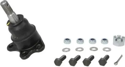 Obrázok produktu pre Nosný/vodiaci kĺb REINHOCH RH03-6014