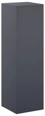 Productafbeelding van Plantenrek, antracietkleurig, 30 x 30 x 100 cm, roestvrij staal