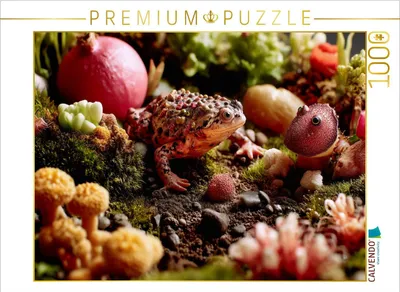 Produktbild von CALVENDO Puzzle Fruchtige Krötenwelt | 1000 Teile Lege-Größe 64x48cm Foto-Puzzle für glückliche Stunden