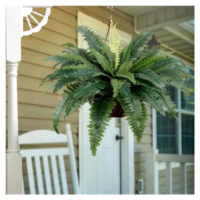 Produktbild von 2 Stück Künstliche Bostonfarne 58 cm UV-beständige Kunstpflanzen für Garten und Außenbereich