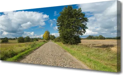 Produktbild von Tulup Leinwand-Bilder 125x50 Wandbild Canvas Kunstdruck Kopfpflaster Landschaft