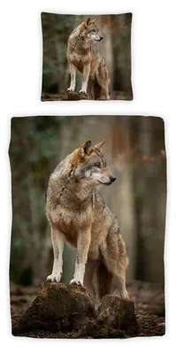 Produktbild von Traumschlaf Bettwäsche Wolf 155x220 cm + 80x80 cm