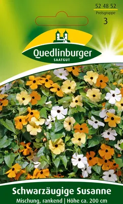 Produktbild von Schwarzäugige Susanne Mischung rankend | Blumensamen von Quedlinburger