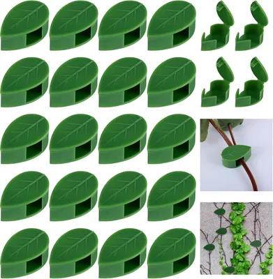 Image de Support pour 20 plantes en pot