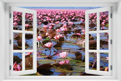 Produktbild von Wallario Wandbild aus Acryl, 60 x 90 cm, freischwebende Optik - Seerosenlandschaft mit rosa Blüten mit Fenster-Illusion